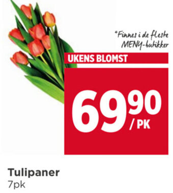 Meny Tulipaner tilbud
