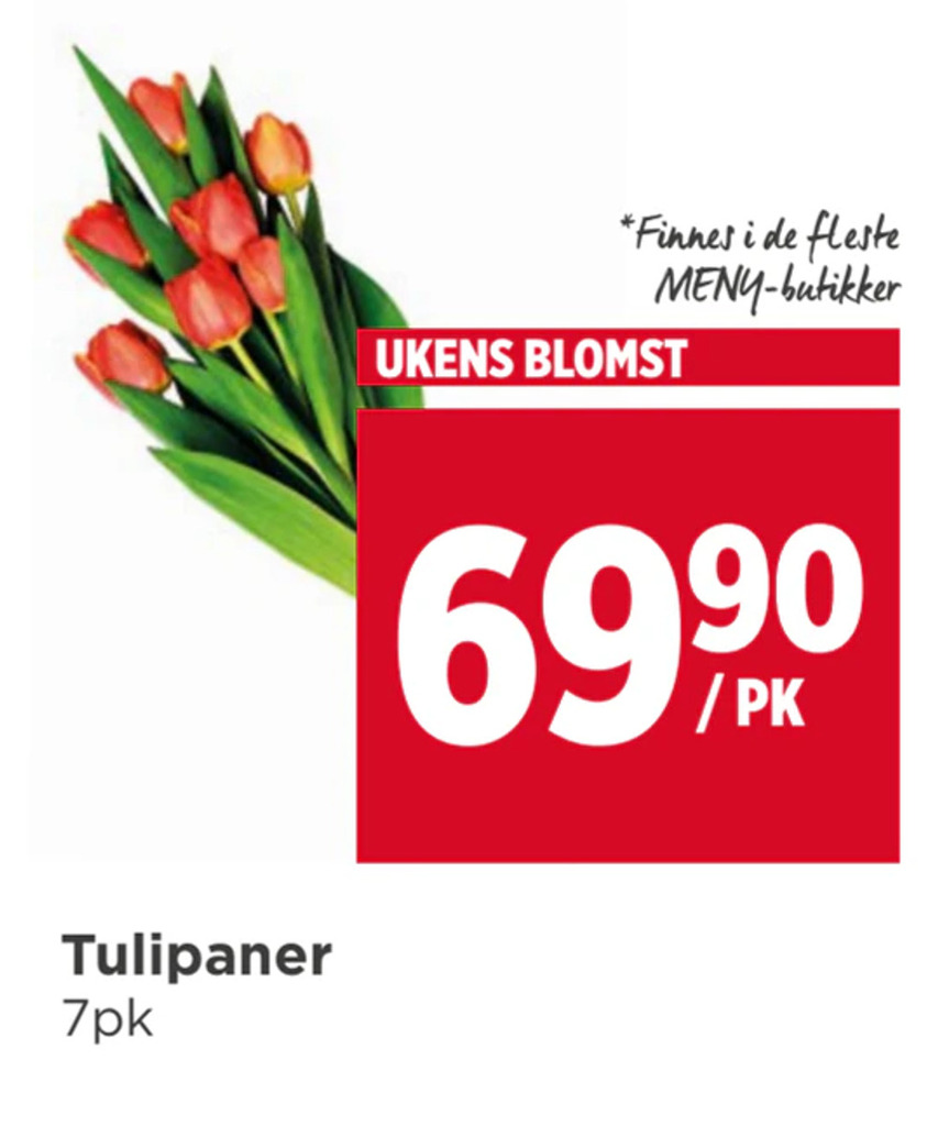 Meny Tulipaner tilbud