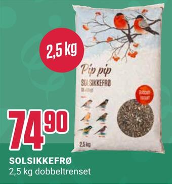 Solsikkefrø