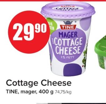 Eurospar Tine cottage cheese tilbud