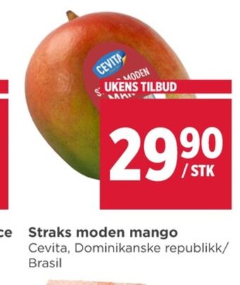 Meny Cevita mango tilbud
