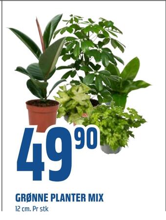 Coop Obs Grønne planter mix tilbud
