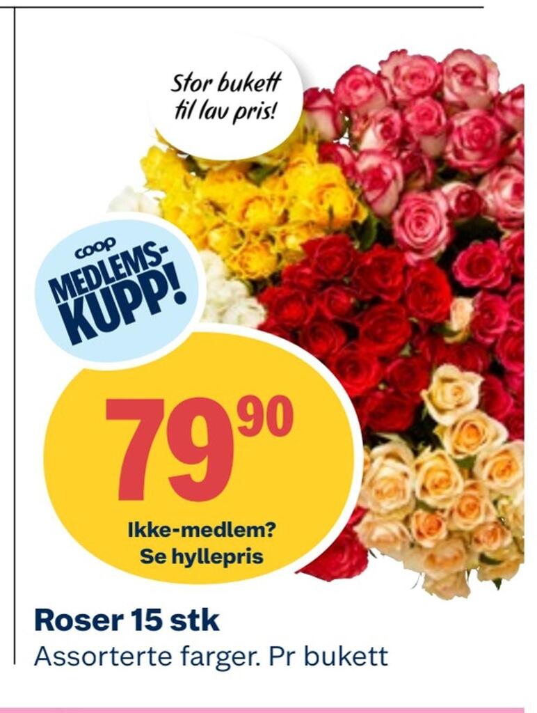 Coop Obs Roser 15 stk tilbud