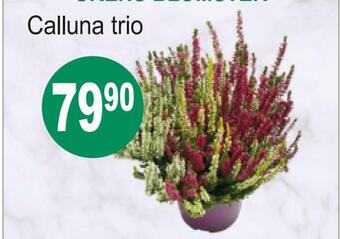 Joker Calluna trio tilbud