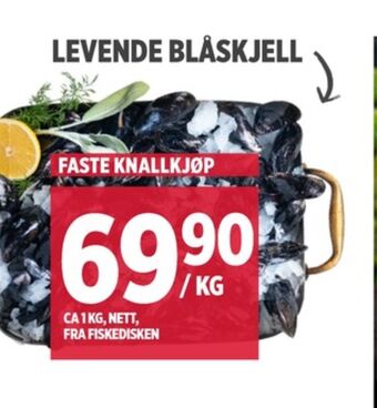 Meny Ukjent blåskjell tilbud