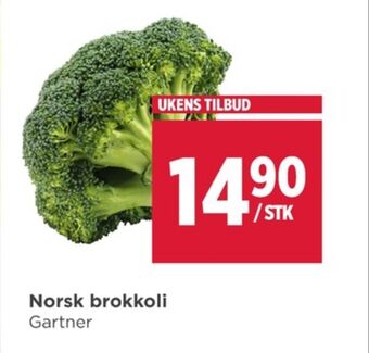 Meny Gartner brokkoli tilbud