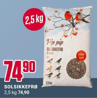 Europris Solsikkefrø tilbud