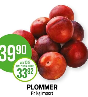 Kiwi PLOMMER tilbud