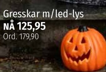 Nille Gresskar m/led-lys tilbud