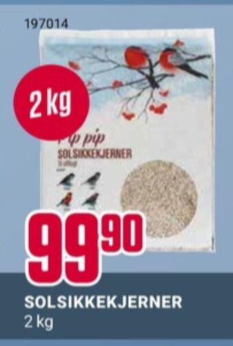 Europris Ukjent solsikkefrø tilbud