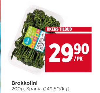 Meny Brokkolini tilbud