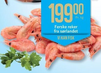 CC Mat Ferske reker fra sørlandet tilbud