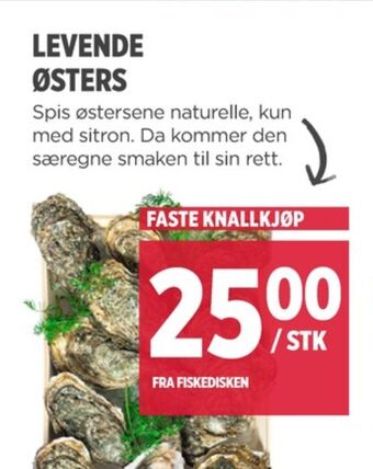 Meny Ukjent østers tilbud