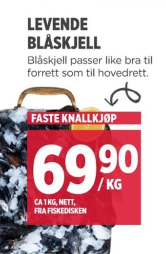 Meny Ukjent blåskjell tilbud