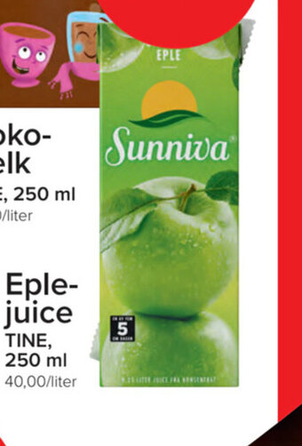Spar Eple-juice TINE, 250 ml tilbud