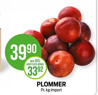 Kiwi Plommer tilbud