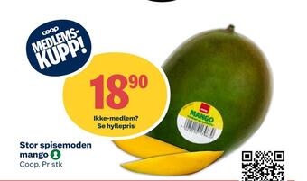 Matkroken Stor spisemoden mango tilbud