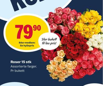 Matkroken Roser 15 stk tilbud