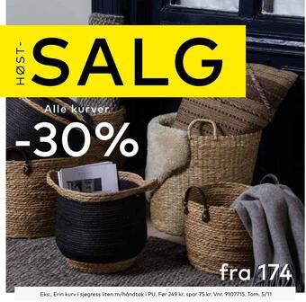 Skeidar Erin kurv tilbud