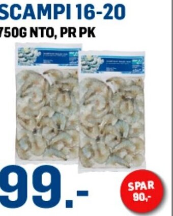 SCAMPI 16-20