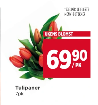 Meny Tulipaner tilbud