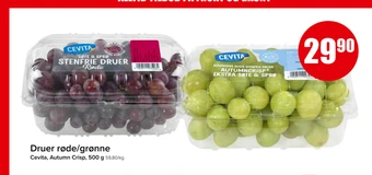 Spar Druer røde/grønne tilbud