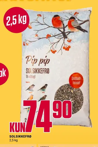 Europris Solsikkefrø tilbud