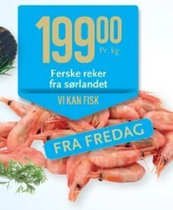 CC Mat Ferske reker fra sørlandet tilbud