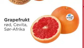 Meny Grapefrukt tilbud