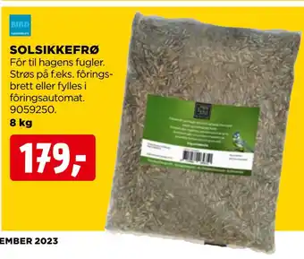 jem & fix Solsikkefrø tilbud