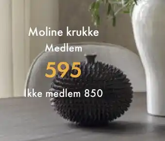 Fagmøbler Moline krukke tilbud