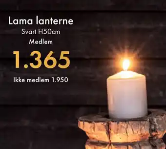 Fagmøbler Lama lanterne tilbud
