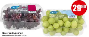 Spar Druer røde/grønne tilbud