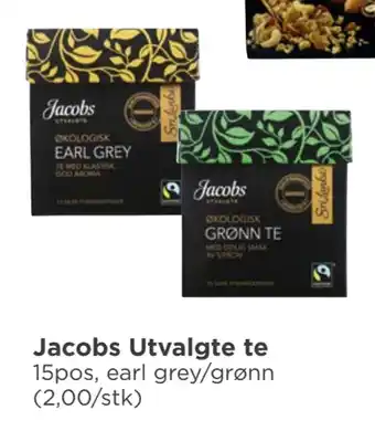 Meny Jacobs utvalgte te tilbud