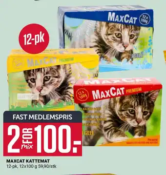 Europris Maxcat kattemat tilbud