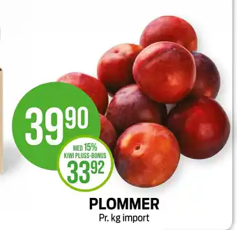 Kiwi Plommer tilbud