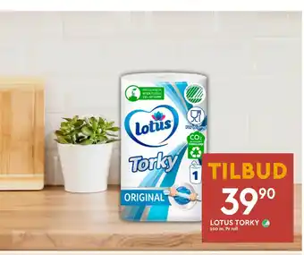 Coop Mega Lotus torky tilbud
