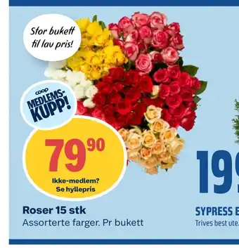Coop Obs Roser 15 stk tilbud