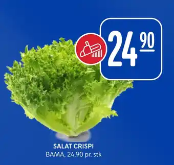 Rema 1000 Salat crispi tilbud