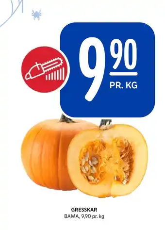 Rema 1000 Gresskar tilbud