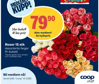 Matkroken Roser 15 stk tilbud