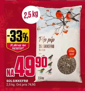 Europris Solsikkefrø tilbud