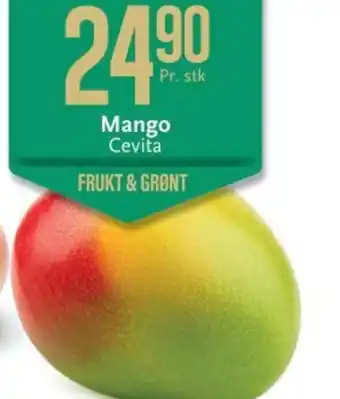 Mango Cevita
