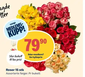 Coop Extra Roser 15 stk Assorterte farger. Pr bukett tilbud