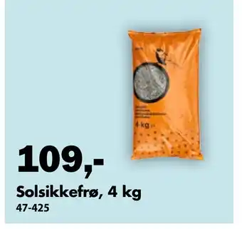 Solsikkefrø, 4 kg