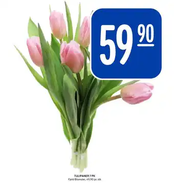 Rema 1000 Tulipaner 7 pk tilbud