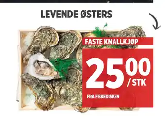 Meny Levende østers tilbud