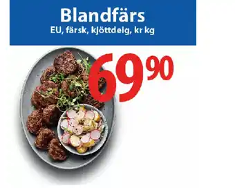 Blandfärs EU, färsk, kjöttdeig, kr kg