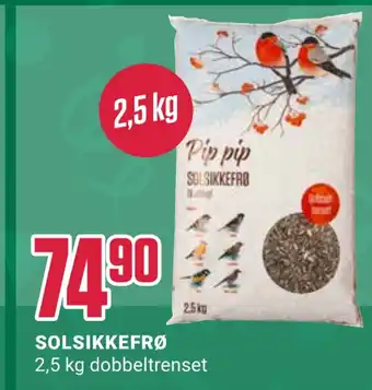 Europris Solsikkefrø tilbud