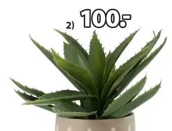 JYSK Steinar kunstig plante tilbud